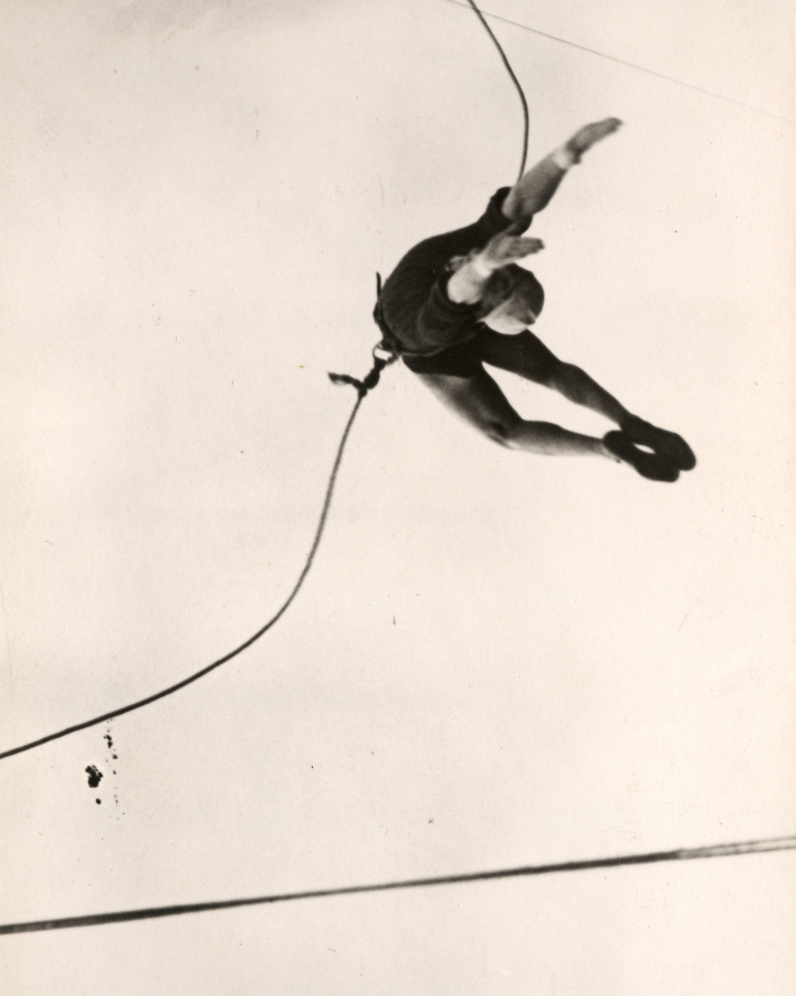 Acrobate de Gras N°325 Rond L