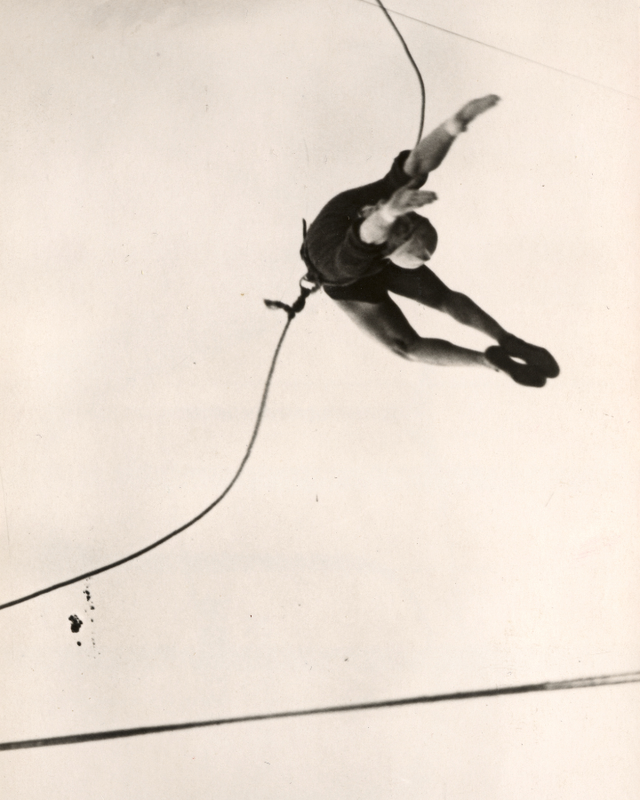 Acrobate de Gras N°326 Rond L