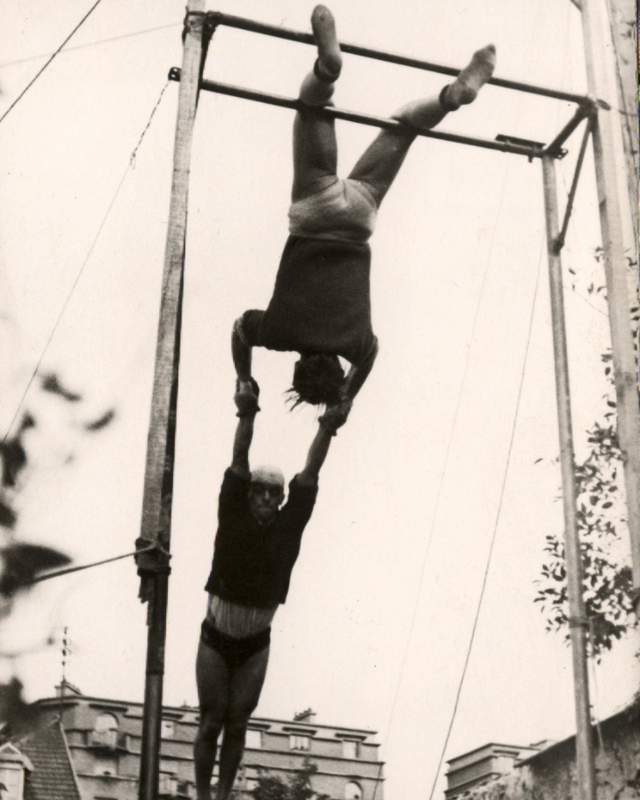 Acrobate de Gras N°326 Rond L