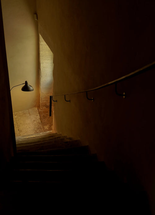 Mantis BS1 - dcw-editions-prod - 4