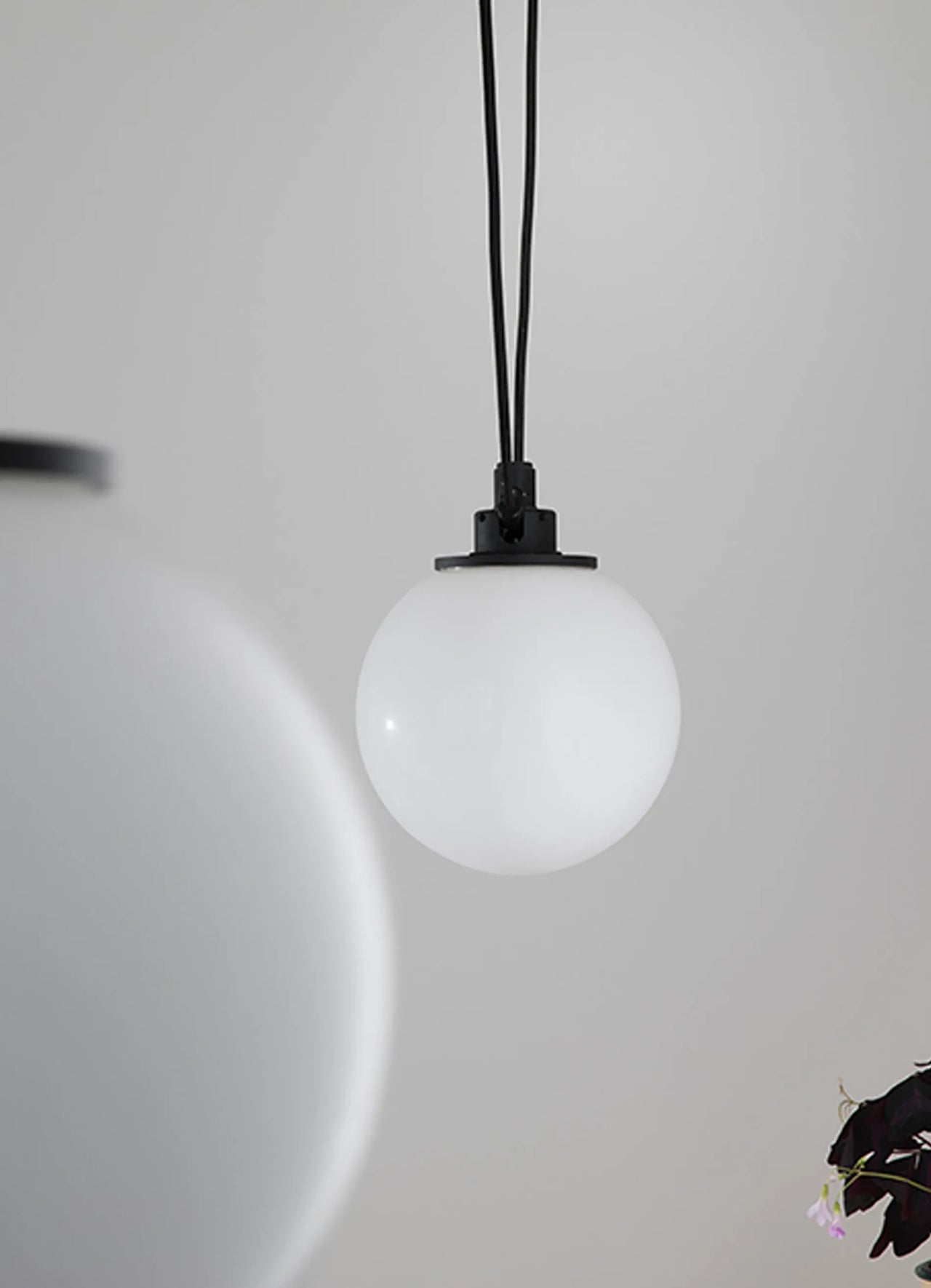 Acrobate de Gras N°324 - Globe Opalin 250