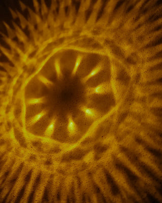 In The Sun Pendant Composition 190